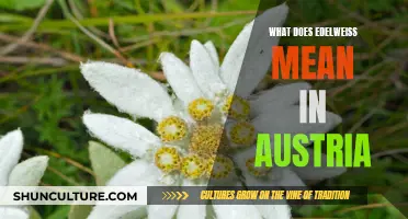 Unveiling the Meaning of Edelweiss: Austria's Cultural Symbol