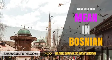 Understanding Edin: Meaning and Cultural Significance in Bosnian Language