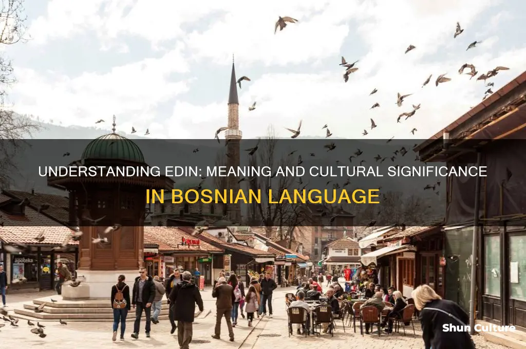 what does edin mean in bosnian