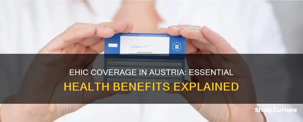 what does ehic cover in austria