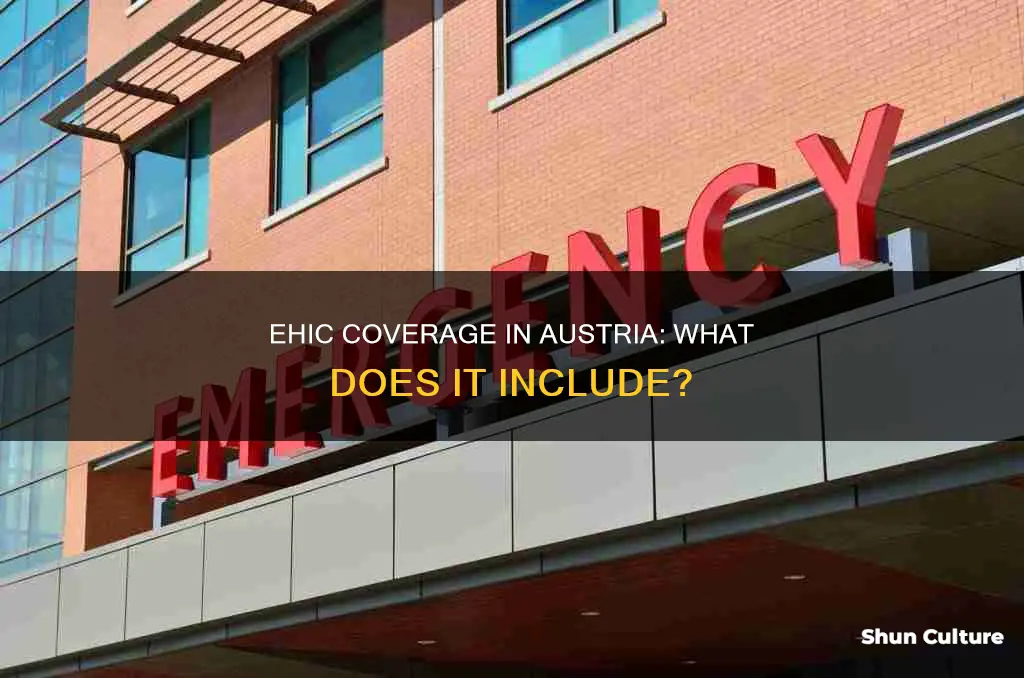 what does ehic cover in austria