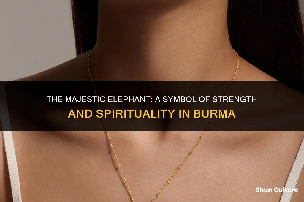 what does elephant represent in burma