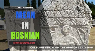 Understanding the Meaning of Elma in Bosnian Language and Culture