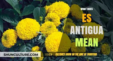 Understanding 'Es Antigua': Meaning, Origins, and Cultural Significance Explained