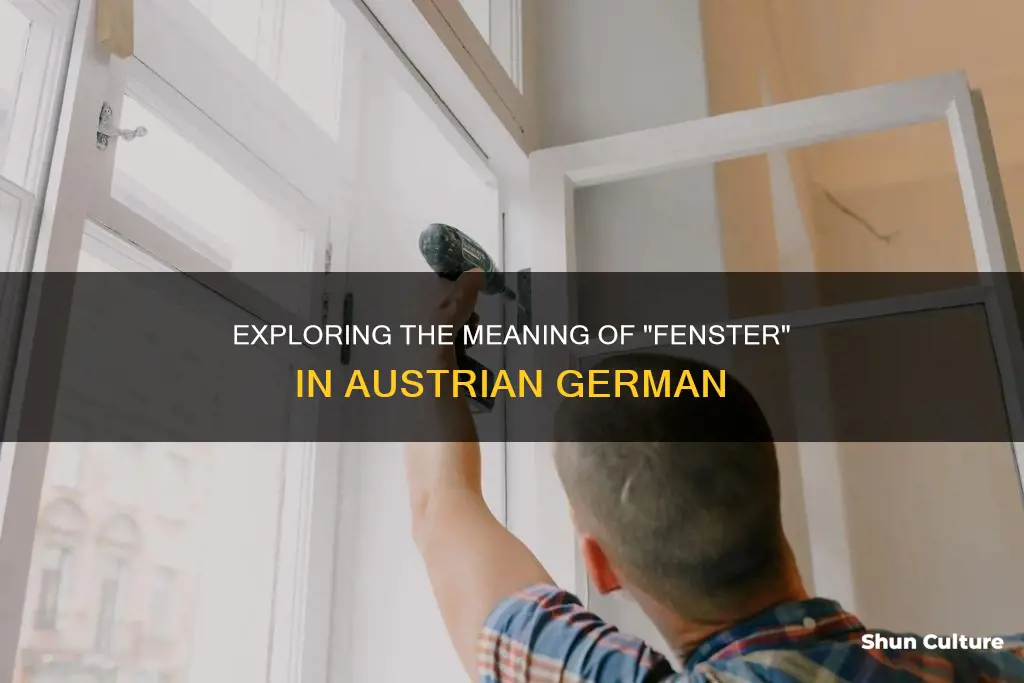 what does fenster mean in austrian