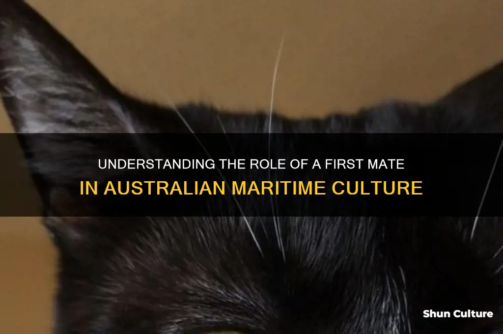 what does first mate mean in australia