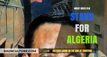 Understanding FLN: Algeria's Historic National Liberation Front Explained