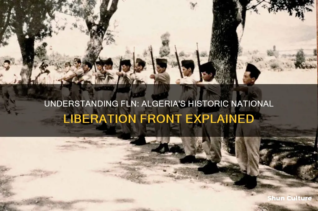 what does fln stand for algeria