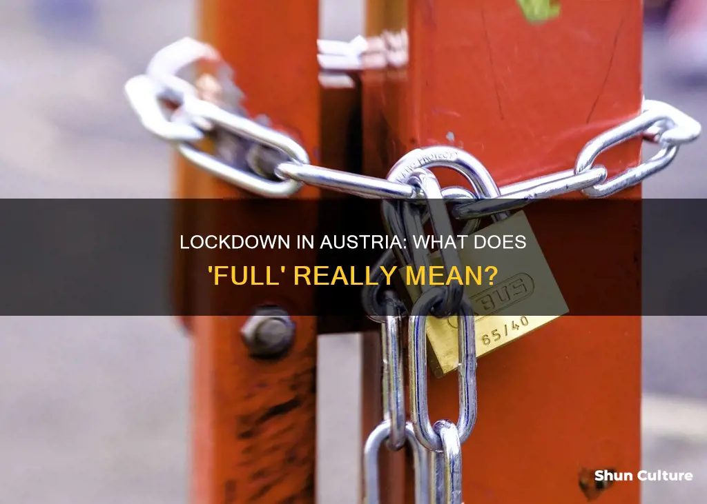 what does full lockdown mean in austria