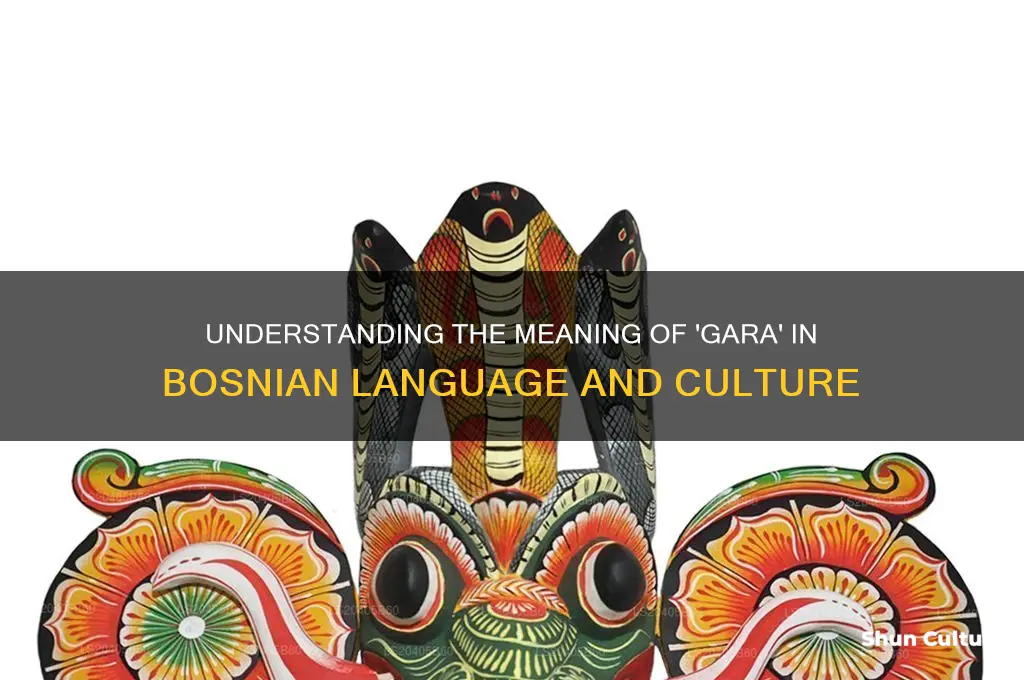what does gara mean in bosnian