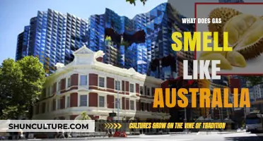 Australia's Gas: What's That Smell?