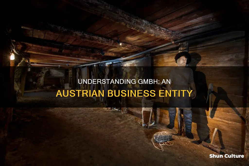 what does gmbh mean in austria