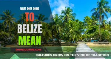 Unlocking the Secrets of Belize: A Journey to Discover a Country's Rich Heritage and Natural Wonders