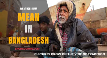 Unveiling the Cultural Significance of 'Ham' in Bangladeshi Context