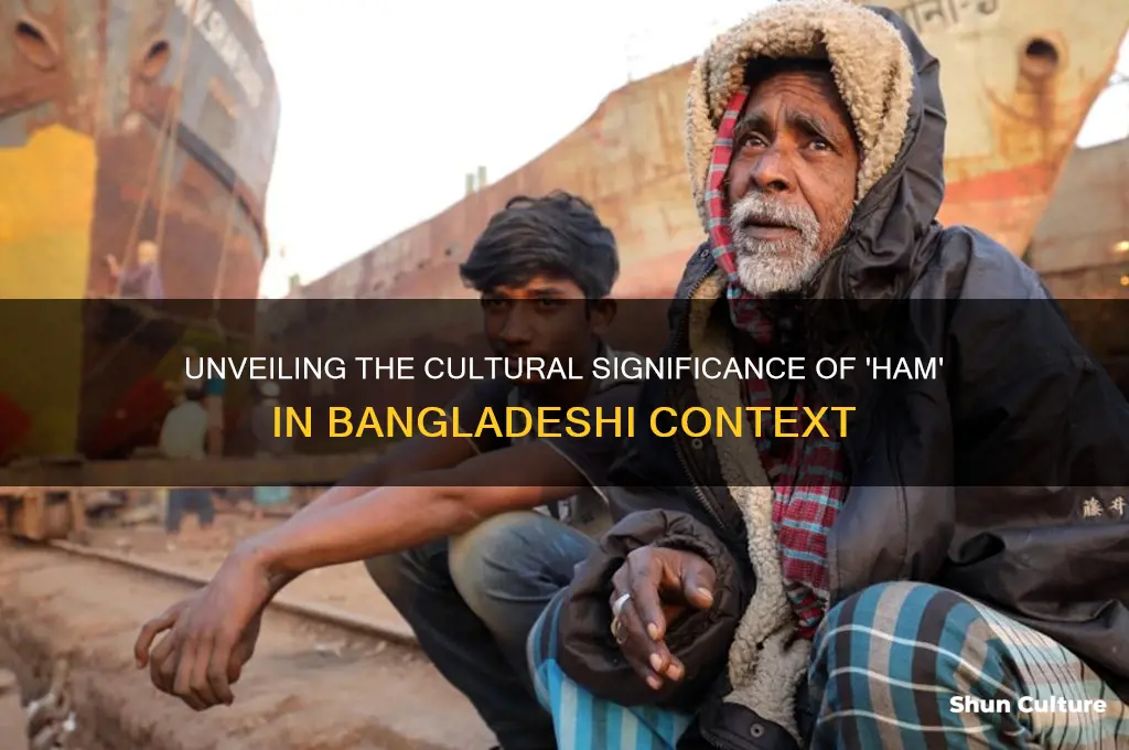 what does ham mean in bangladesh