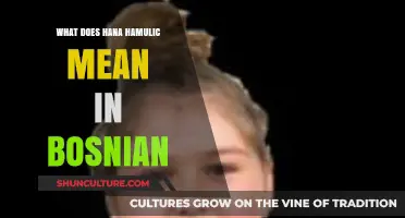 Understanding the Meaning of Hana Hamulic in Bosnian Culture and Language