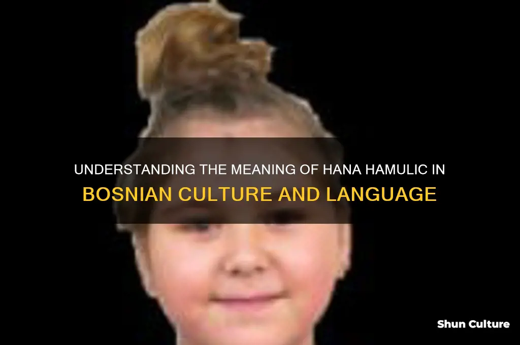 what does hana hamulic mean in bosnian