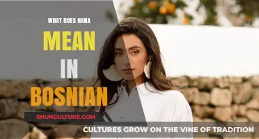 Understanding the Meaning of Hana in Bosnian Language and Culture