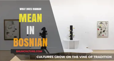 Hannah in Bosnian: Uncovering the Meaning and Cultural Significance