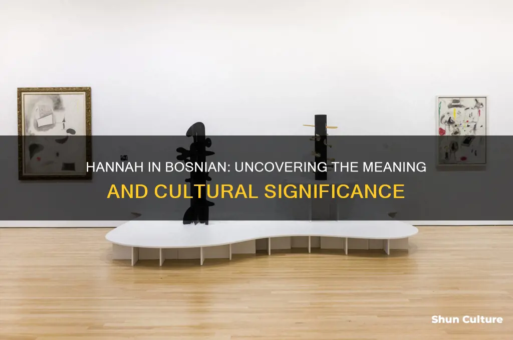 what does hannah mean in bosnian