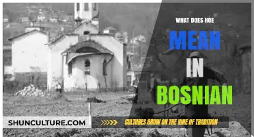 Understanding the Meaning of 'Hoe' in Bosnian Language and Culture