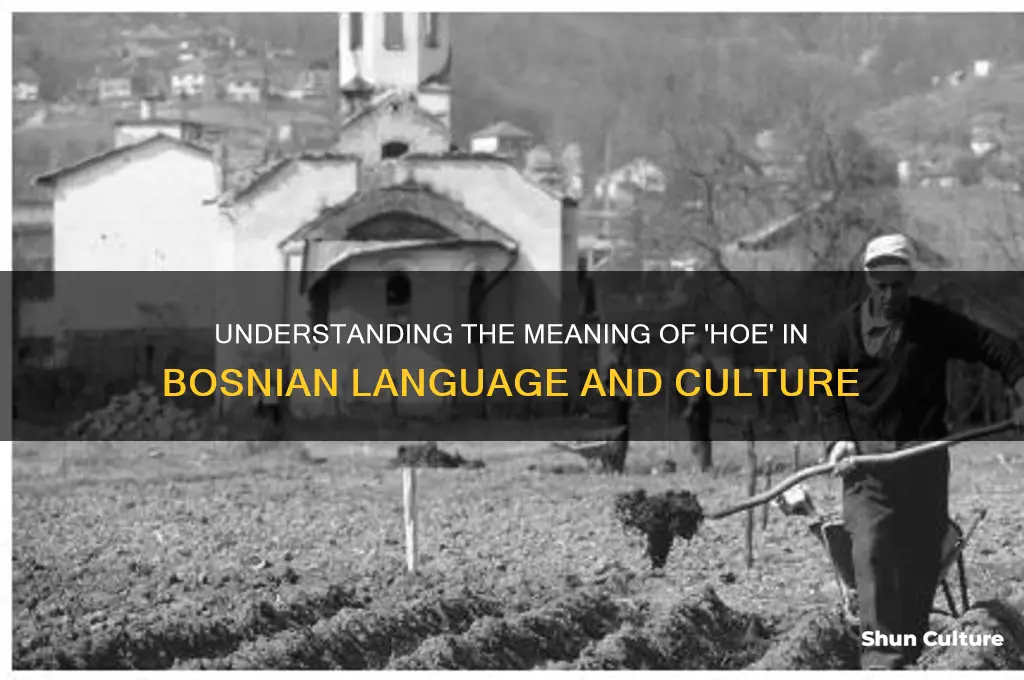 what does hoe mean in bosnian
