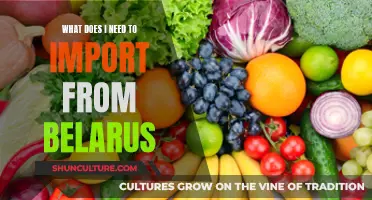 Importing from Belarus: What You Need to Know