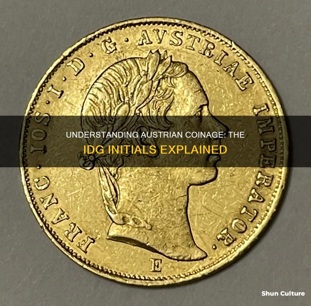 what does idg stand for in austrian coinage