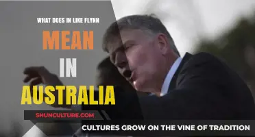 Flynn's Australian Saying: Its Meaning and Origin