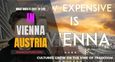 Unveiling Vienna's Cost of Living: A Comprehensive Guide