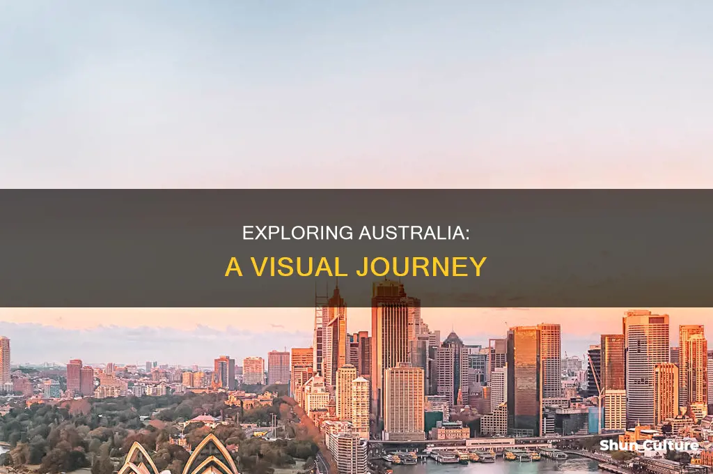 what does it look like in australia