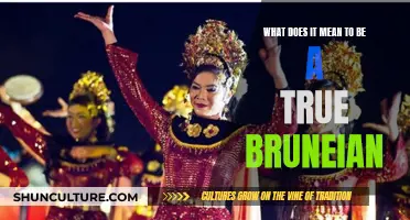 The Bruneian Spirit: Our Unique Identity and Culture