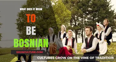 Understanding Bosnian Identity: Culture, History, and What It Means to Belong
