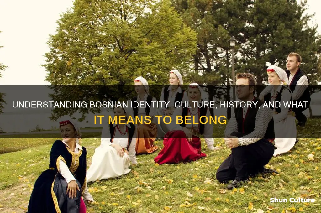 what does it mean to be bosnian