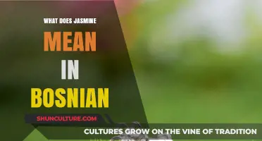 Jasmine's Meaning in Bosnian: Unveiling the Cultural Significance and Symbolism