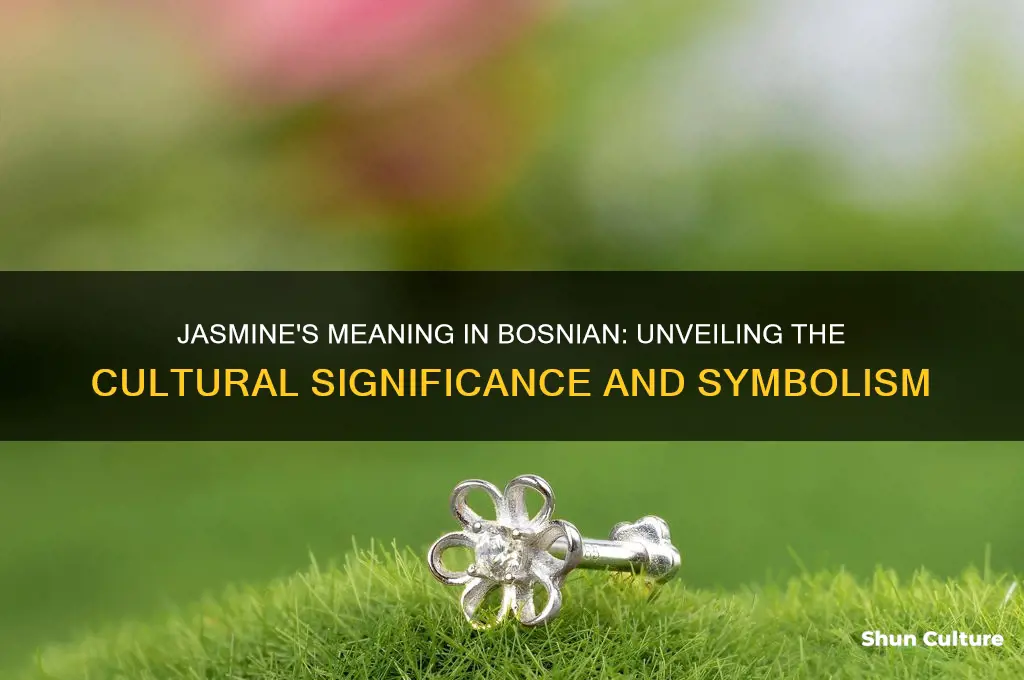 what does jasmine mean in bosnian