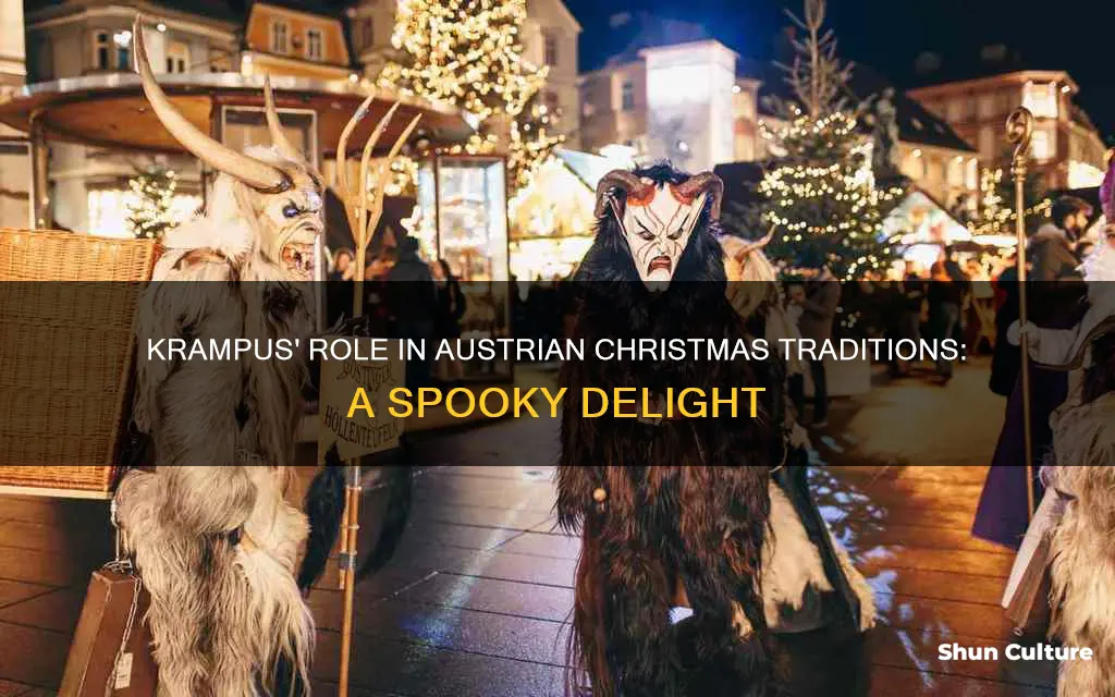 what does krampus do in austria