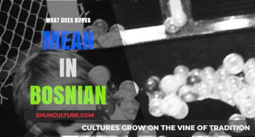 Understanding the Meaning and Usage of 'Kurva' in Bosnian Language