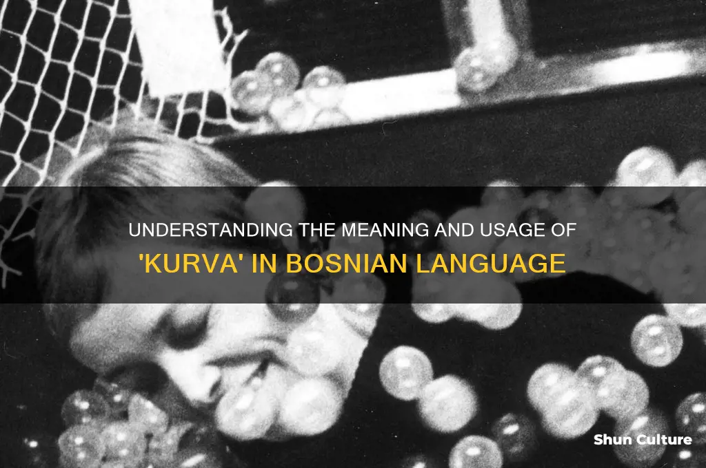 what does kurva mean in bosnian