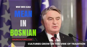 Unveiling the Bosnian Name Lejla: Meaning, Origin, and Cultural Significance