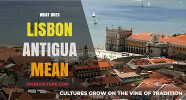 Unveiling Lisbon Antigua: Exploring the Historic Heart of Portugal's Capital