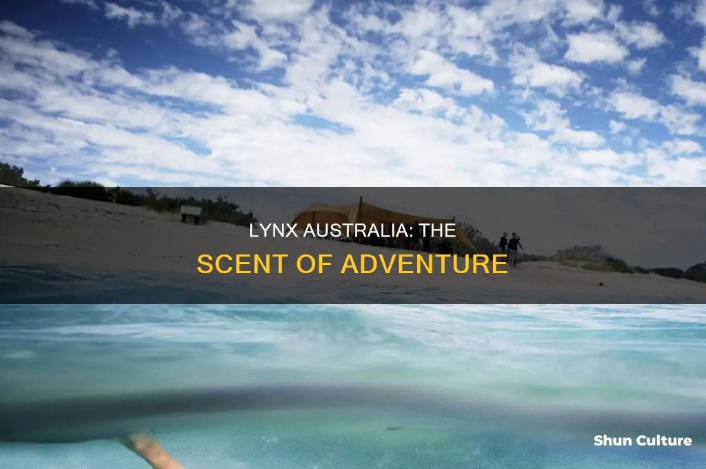 what does lynx australia smell like