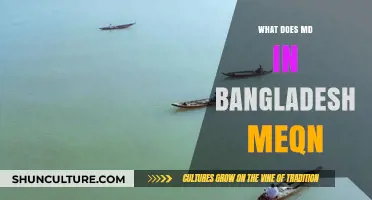 Understanding MD in Bangladesh: Meaning, Importance, and Applications Explained