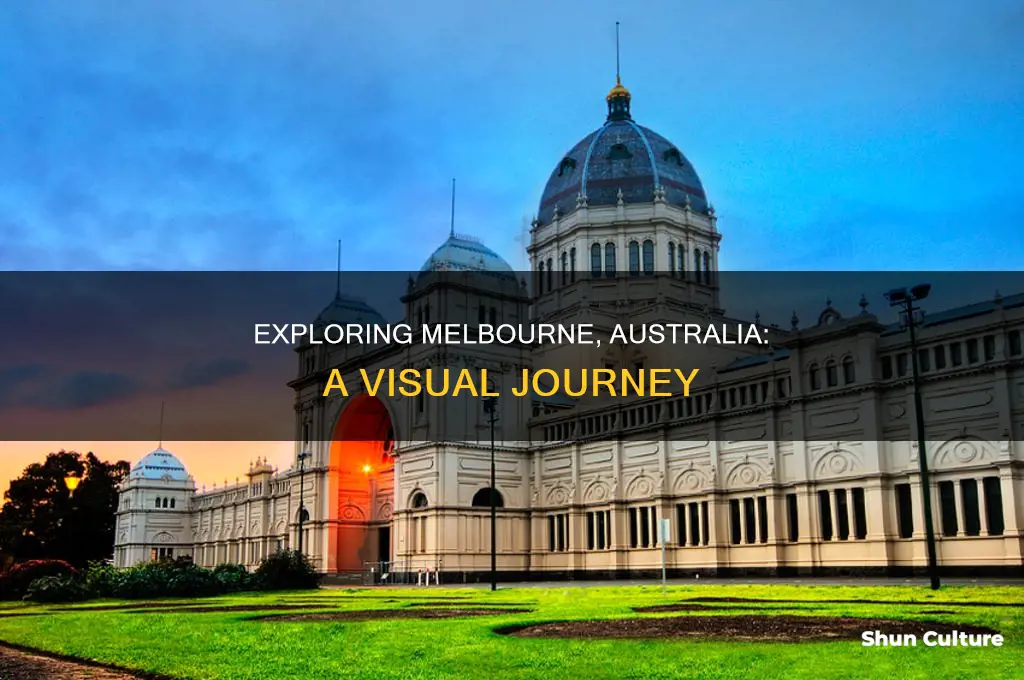 what does melbourne australia look like
