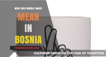 Understanding the Middle Finger Gesture in Bosnian Culture and Context