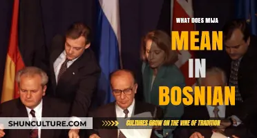 Understanding 'Mija' in Bosnian: Meaning, Usage, and Cultural Context