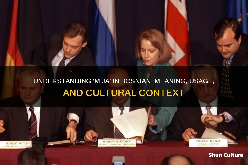 what does mija mean in bosnian