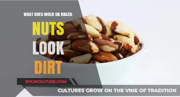 Identifying Mold on Brazil Nuts: Appearance, Risks, and Prevention Tips