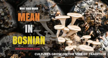 Understanding the Meaning of 'Mush' in Bosnian Language and Culture