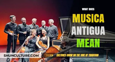 Unveiling the Meaning and Significance of Musica Antigua in Music History